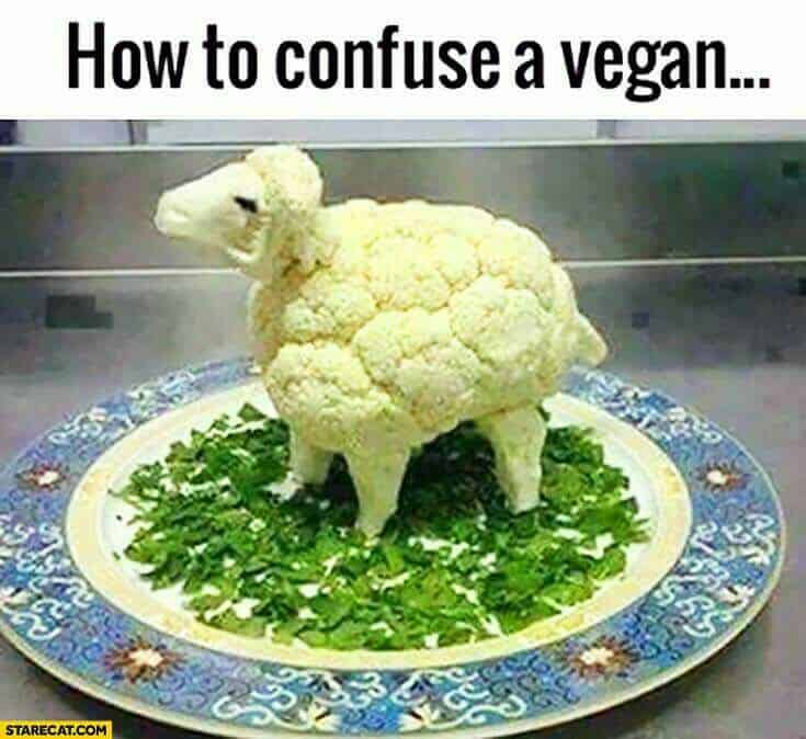 confuse-vegan