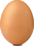 Niezłe jaja
