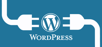 Pchełki WordPress: jak dodać wyszukiwarkę do menu